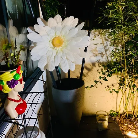 Maison Cosy 4 Pers Avec Jardin Et Ile De Re 5 Min 라로셸