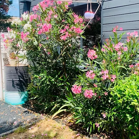 بيت للعطل Maison Pierre 4 Pers Avec Jardin Ile De Re 5 Min لا روشيل