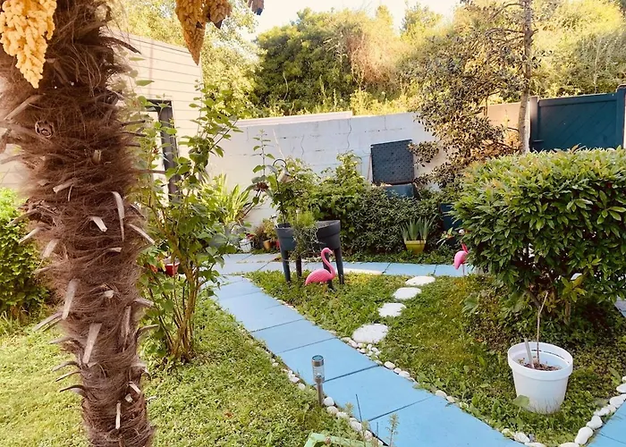 Maison Pierre 4 Pers Avec Jardin Ile De Re 5 Min *