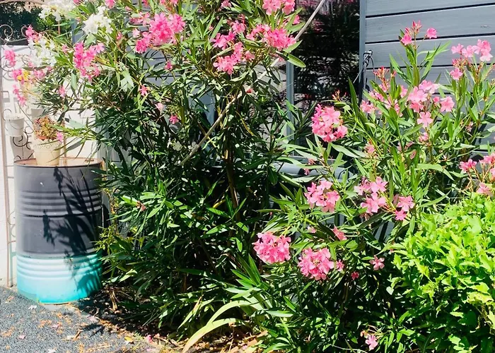 Сasa de vacaciones Maison cosy 4 pers avec jardin et Île de Ré 5 min La Rochelle (Charente-Maritime)